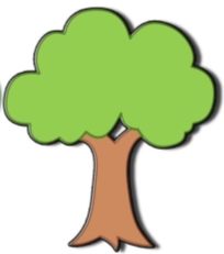 Рисунок контура дерева: поэтапное описание, фото, советы - Handskill.ru